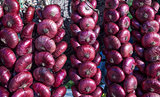 Sweet red Crimean onion.
