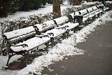 Snow on Benches