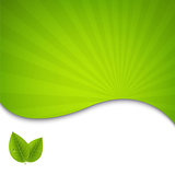 Eco Green Leaves Poster