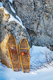  Bear Paw snowshoes 