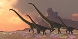 Mamenchisaurus Dinosaurs