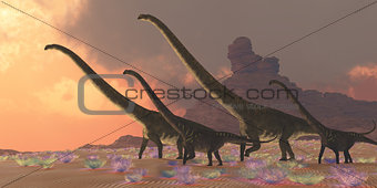 Mamenchisaurus Dinosaurs