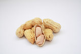 peanut and shell on white background