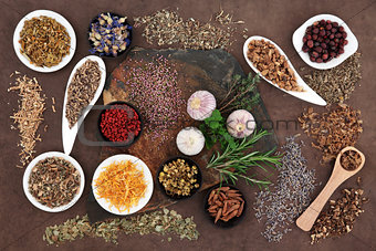 Medicinal and Magical Herbs