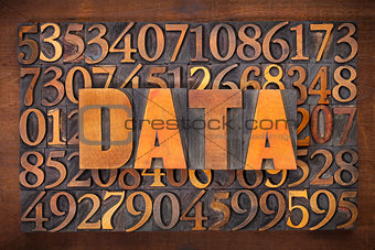 data word in wood type