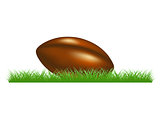 Retro rugby ball lying in grass