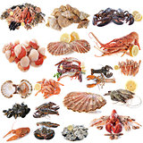 seafood and shellfish