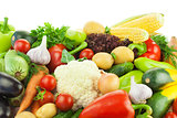 Different Vegetables / Big Assortment of Food 