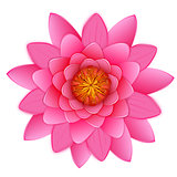 Beautiful pink lotus or waterlily flower isolated.