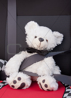 Teddy bear teaching road safety