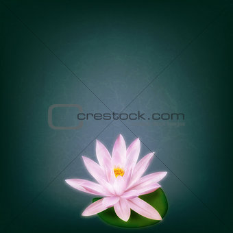 abstract grunge floral background with lotus