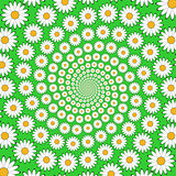 Design chamomile helix movement background. Colorful floral deco