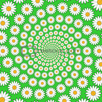 Design chamomile helix movement background. Colorful floral deco