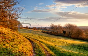 Morning landscape, England
