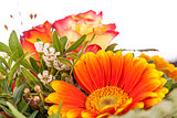 Vivid orange gerbera daisy in a bouquet