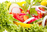 fresh tasty mixed salad with different vegetables isolated