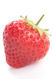 fresh red tasty strawberry isolated on white
