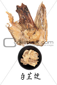 Angelica Herb Root