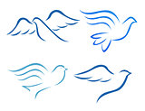 Vector illustration of flying dove 