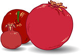 Pomegranates for Rosh Hashanah 1