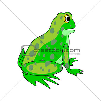 A funny cartoon green frog