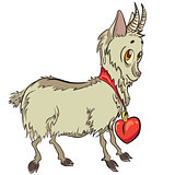 little goat with heart