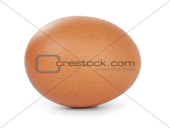 single brown chicken egg