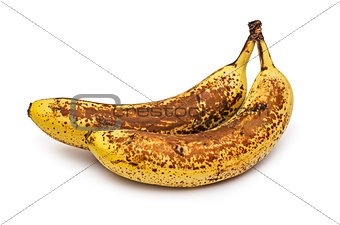 Bananas expired