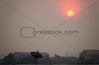 Morning sun and satellite dish