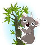 Cute koala on a tree