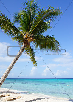 Caribbean Beach, Dominican Republic