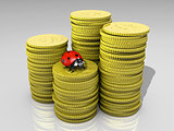 Ladybug on stack of coins