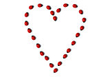 Row of ladybugs forms a heart shape