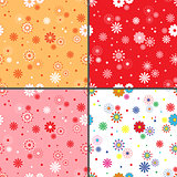 Four seamless vector patterns with daisy flowers