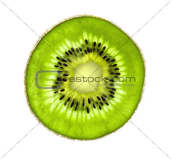 Beautiful slice of fresh juicy kiwi isolated on white background