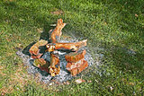 Remains of a bonfire on the green grass 