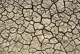 Dried soil with cracks