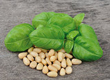 Basil and pine nuts 