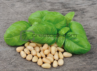 Basil and pine nuts 