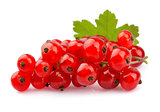 Red Currant close up
