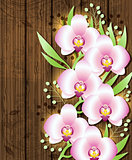 Wooden background with pink  orchids