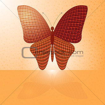 butterfly on the wall and its reflection on a horizontal surface