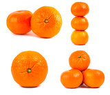 Set of different amount of mandarine fruits isolated on white background