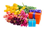  colorful  tulips and gift boxes