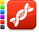DNA icon on square internet button