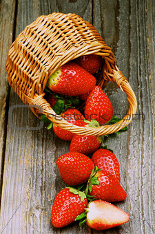 Strawberries in Basket