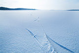 Skate tracks Winter ice on lake