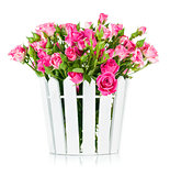 Bouquet pink roses in pot