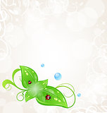 Eco friendly background with green leaves and ladybugs