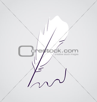 White feather calligraphic pen isolated